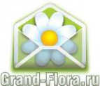 Логотип компании Доставка цветов Гранд Флора (ф-л г.Вольск)